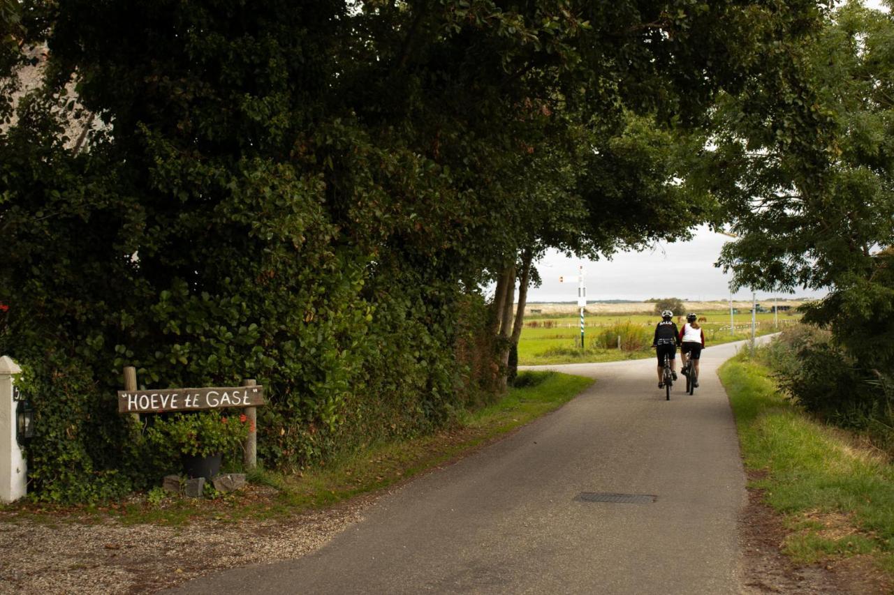 Hoeve Te Gast - Vakantieboerderij Groet Exterior foto